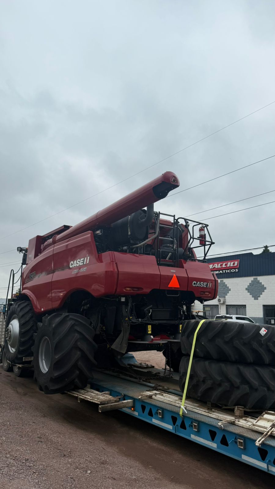 WhatsApp Image 2026-03-09 at 11.11.14